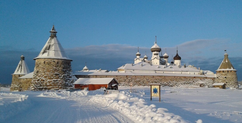 Обои с соловками